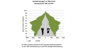 Pyramide des âges